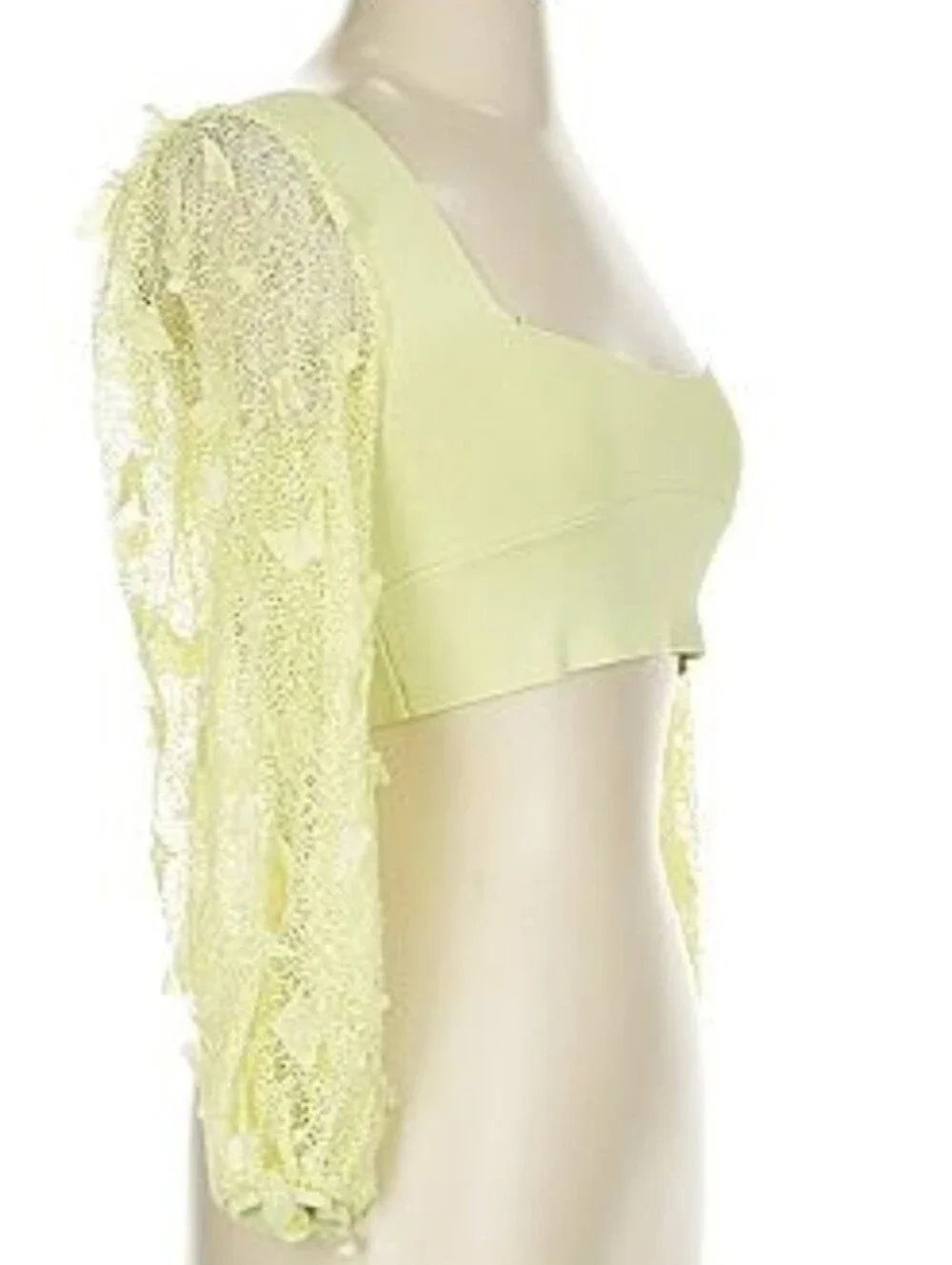Free People Flutter By Lemon Crop Top With Lace Butterfly Sleeves